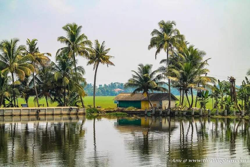 Kerala Backwaters gallery 3