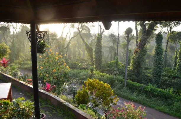 Coorg gallery 1