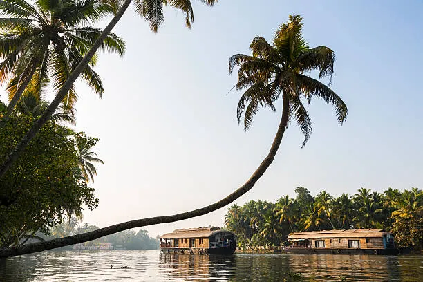 Kerala Backwaters gallery 1