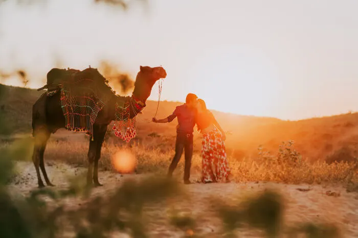 Rajasthan gallery 3