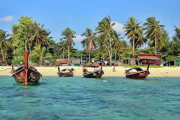 Andaman Islands gallery 4