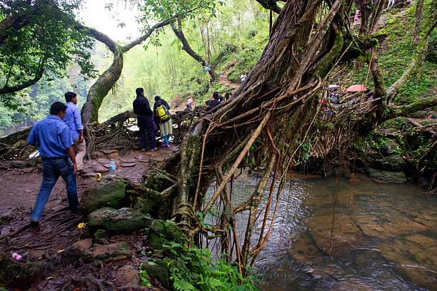 Meghalaya gallery 1