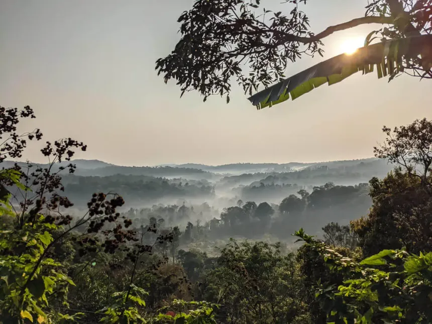 Coorg gallery 2
